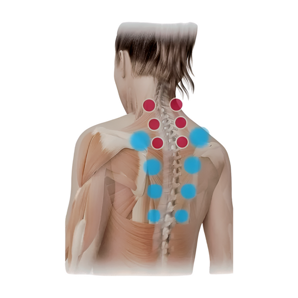 Attelia™  - Masseur Cervical Orthopédique